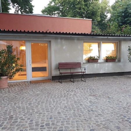 Ferienwohnung Lindenhof, Zentrumsnah Mit Terrasse Und Grillmoeglichkeit Magdeburgo Exterior foto