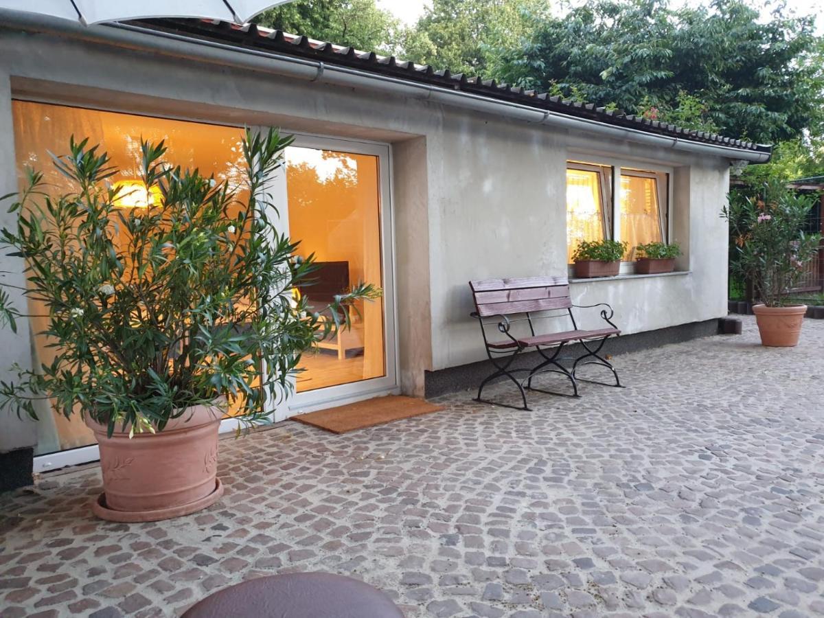 Ferienwohnung Lindenhof, Zentrumsnah Mit Terrasse Und Grillmoeglichkeit Magdeburgo Exterior foto