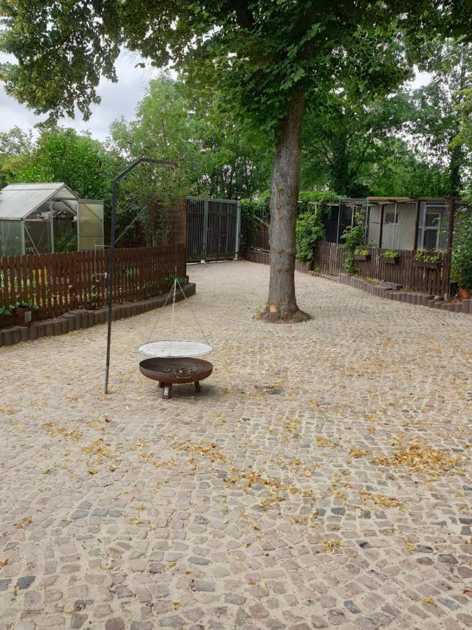 Ferienwohnung Lindenhof, Zentrumsnah Mit Terrasse Und Grillmoeglichkeit Magdeburgo Exterior foto